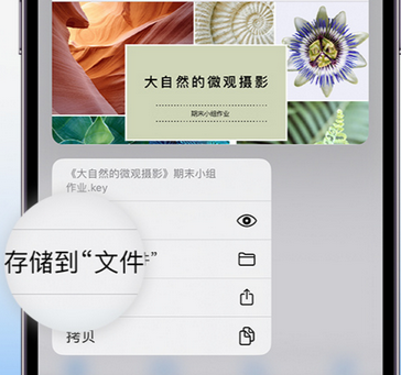 邯山apple维修中心分享iPhone文件应用中存储和找到下载文件