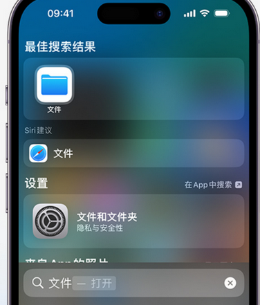 邯山apple维修中心分享iPhone文件应用中存储和找到下载文件 