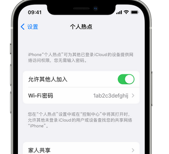 邯山apple服务站点分享iPhone上个人热点丢失了怎么办 