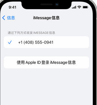 邯山apple维修iPhone上无法正常发送iMessage信息 