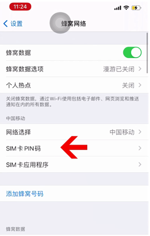 邯山苹果14维修网分享如何给iPhone14的SIM卡设置密码 