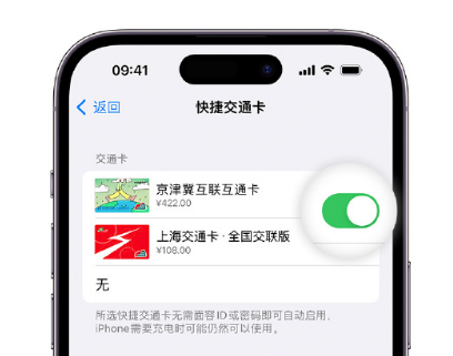 邯山apple维修点分享iPhone上更换Apple Pay快捷交通卡手绘卡面 