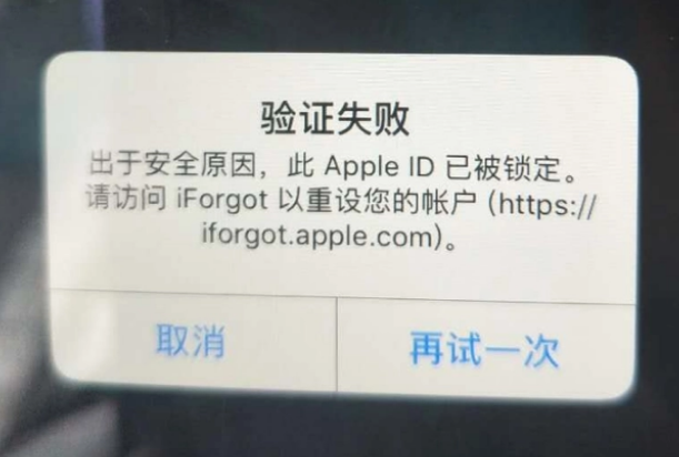 邯山iPhone维修分享iPhone上正常登录或使用AppleID怎么办 