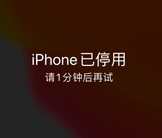 邯山苹果手机维修分享:iPhone 显示“不可用”或“已停用”怎么办？还能保留数据吗？ 