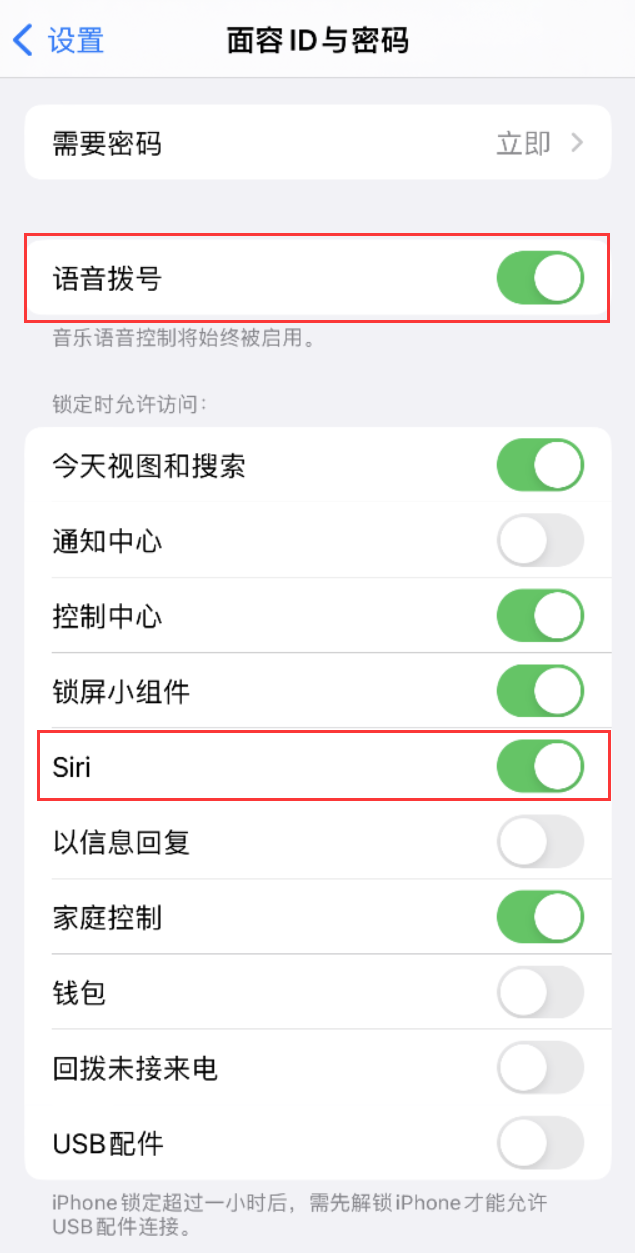 邯山苹果维修网点分享不解锁 iPhone 的情况下通过 Siri 拨打电话的方法 