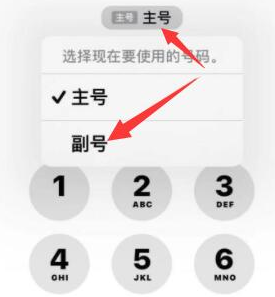 邯山苹果14维修店分享iPhone 14 Pro Max使用副卡打电话的方法 