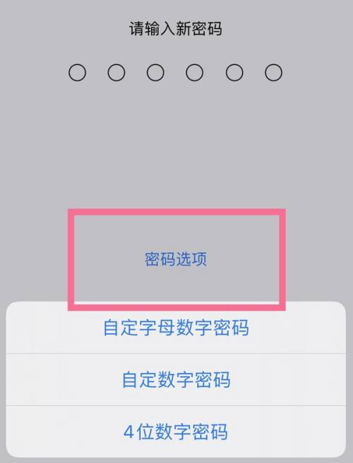 邯山苹果14维修分享iPhone 14plus设置密码的方法 