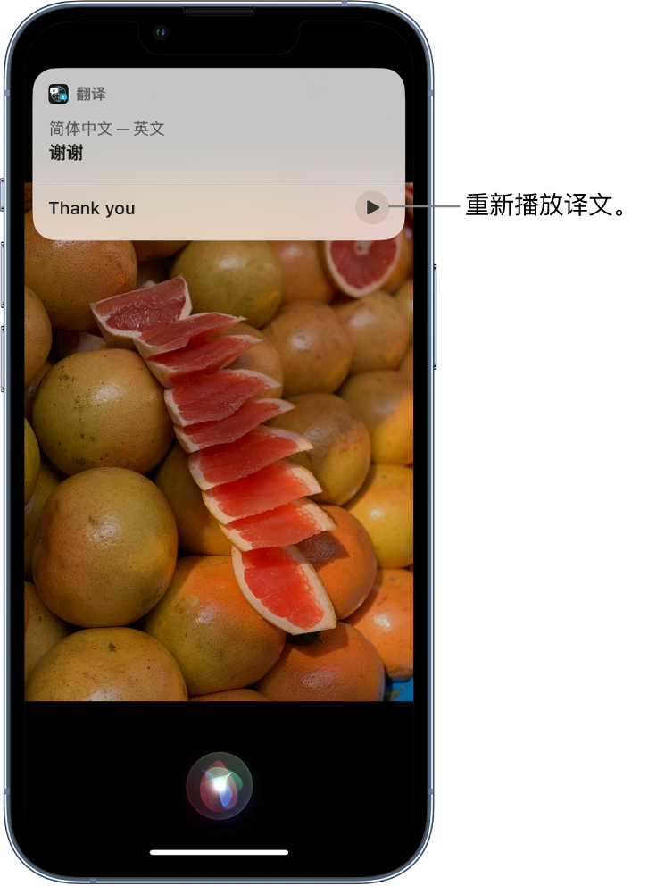 邯山苹果14维修分享 iPhone 14 机型中使用 Siri：了解 Siri 能帮你做什么 