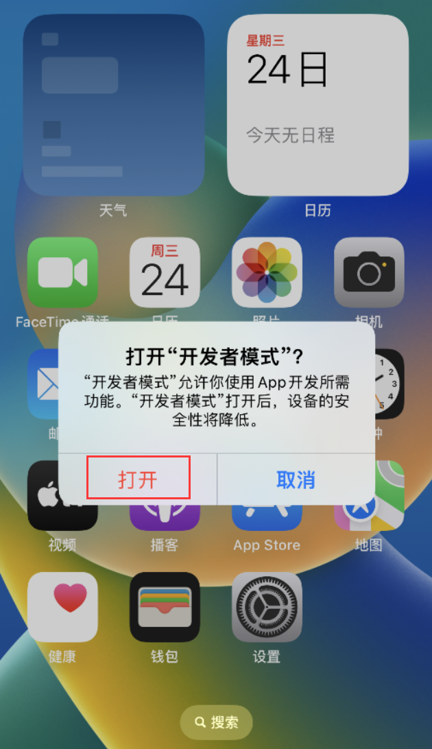 邯山苹果手机维修分享如何打开开发者模式 