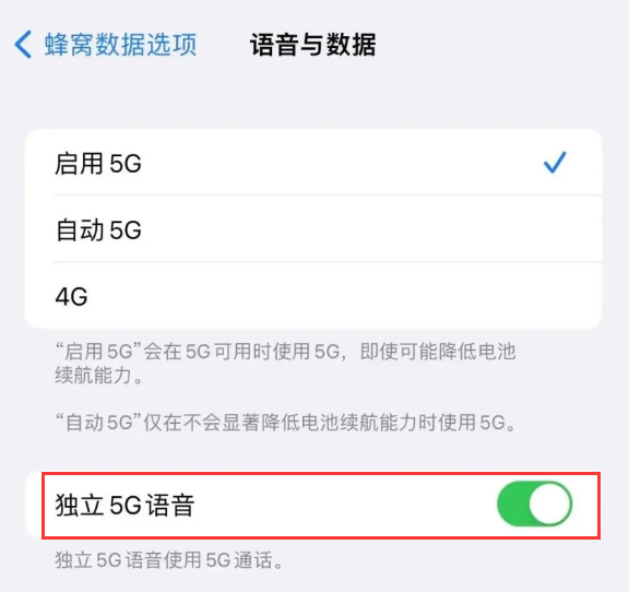 邯山苹果14维修分享iPhone 14 Pro如何开启VoNR 