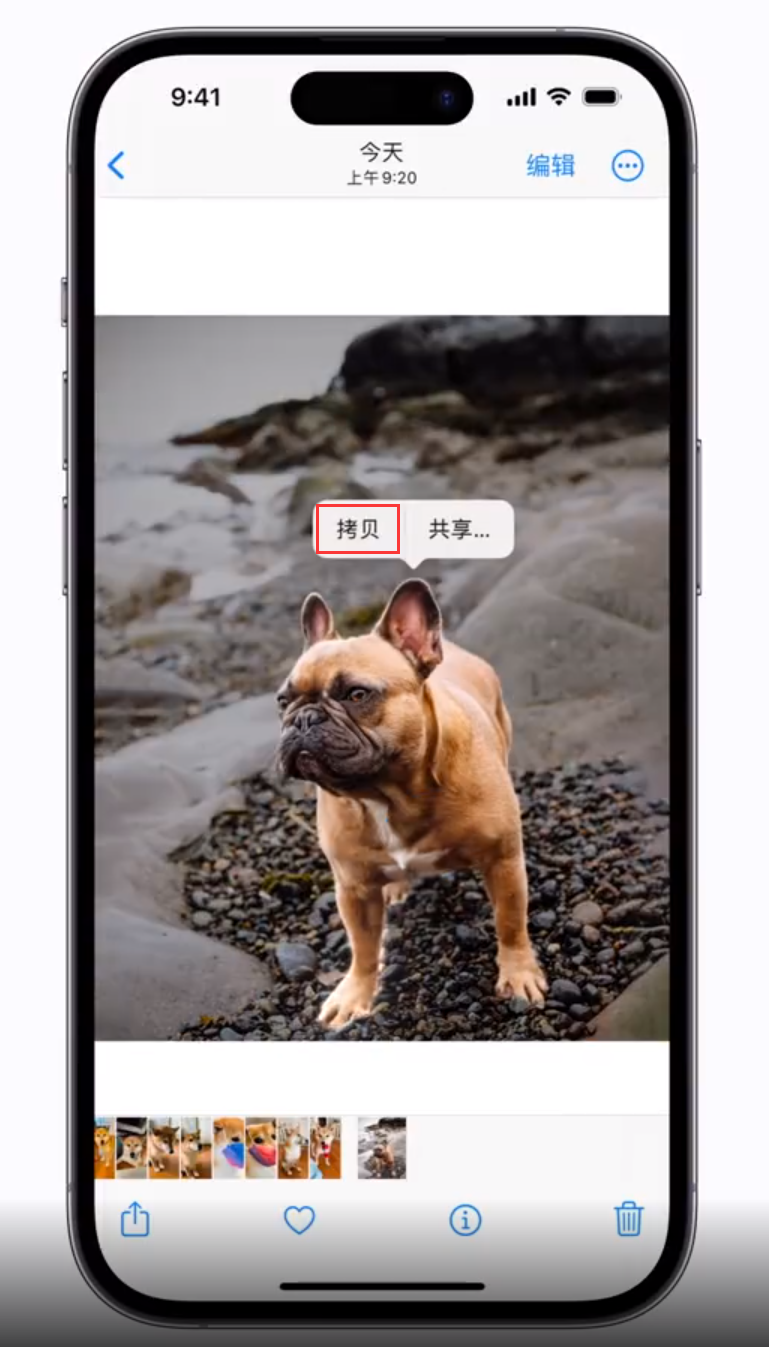 邯山苹果手机维修分享 iOS 16 自带一键抠图功能 