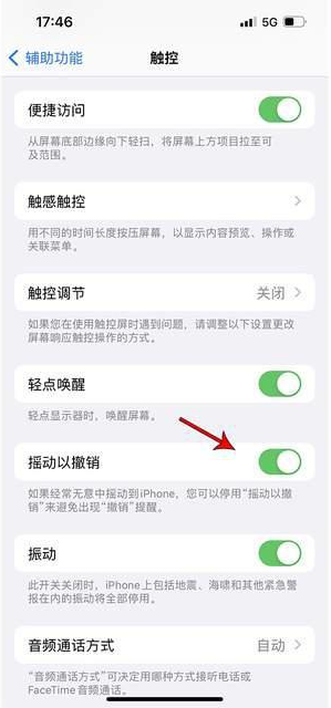 邯山苹果手机维修分享iPhone手机如何设置摇一摇删除文字 