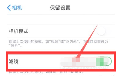 邯山苹果13维修分享iPhone13拍照有绿点是怎么回事 