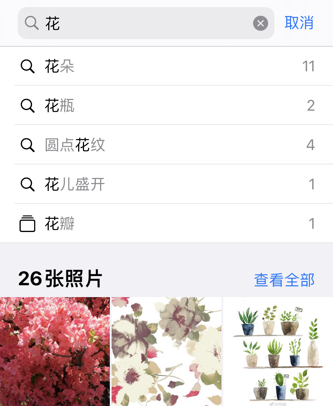 邯山苹果手机维修分享iPhone 小技巧 