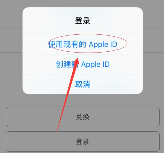 邯山苹果手机维修分享两台iPhone设备可以同时登录一个Apple ID吗 