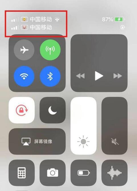 邯山苹果手机维修分享为 iPhone 12 双卡设置标签 
