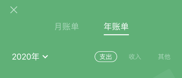 邯山苹果手机维修分享如何在 iPhone 上查看支付宝和微信年支出账单 
